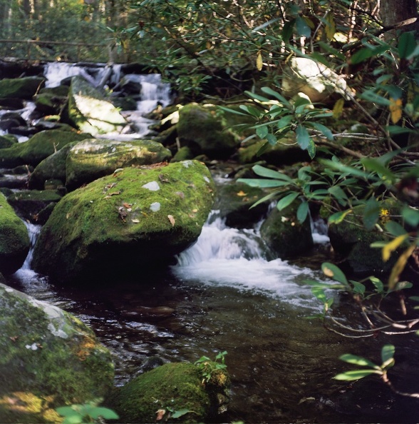 Gabes Mountain Trail 6.jpg